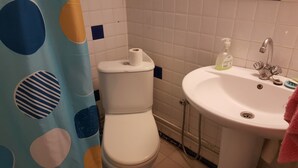 Un baño con inodoro, lavamanos y ducha.