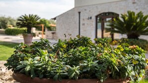 Un bâtiment doté d’une façade en pierre et d’un grand bac à fleurs rempli de plantes vertes, placé devant l’entrée.
