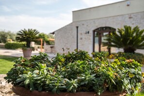 Property grounds - Masseria Gravelle (Conversano)