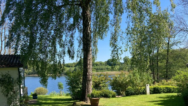 Rauhallinen ulkoalue, jossa on nurmikko, suuri puu ja näkymä järvelle.