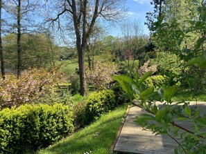 Imagem sem classificação, 5 de 16, botão