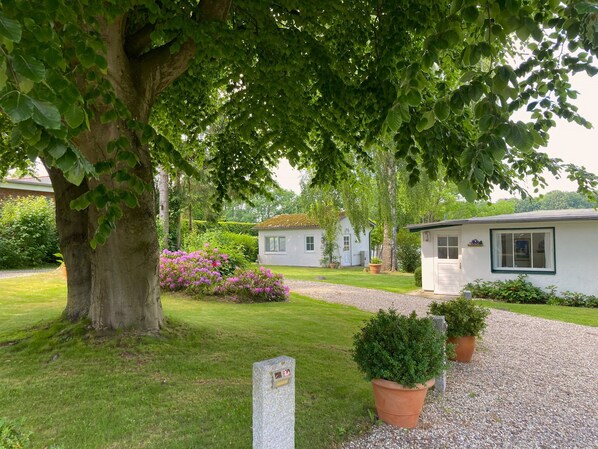 A serene garden with a large tree, a gravel path, and two white cottages with green trim.