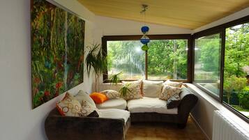 Télévision, cheminée, lecteur de DVD, livres