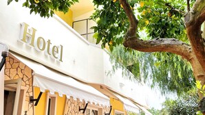 A hotel with a stone facade, a yellow awning, and a sign that reads "Hotel". There are potted plants and a tree with yellow fruit in front of the building. - Yellow Park Hotel (Arienzo)
