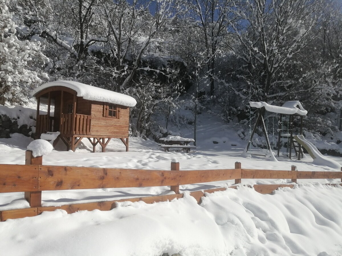 Image de profil de l’hôte