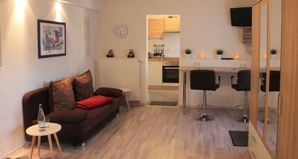 Ferienwohnung nahe Basel