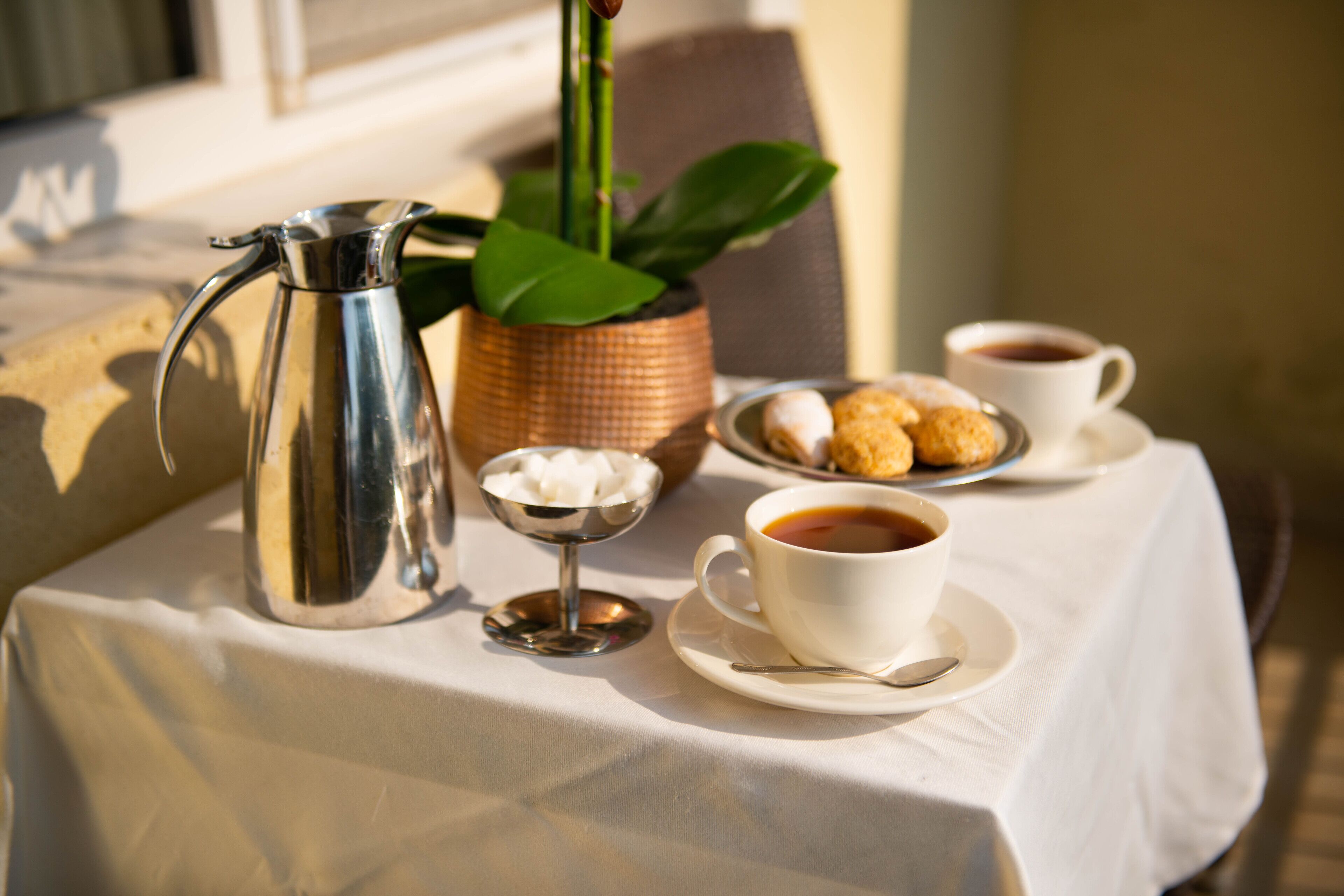 A table with a coffee pot, a cup of coffee, a plate of pastries, a small bowl of sugar cubes, and a potted plant.