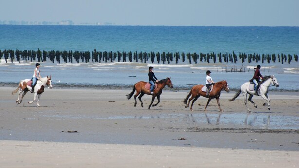 A beach with horses and riders.
