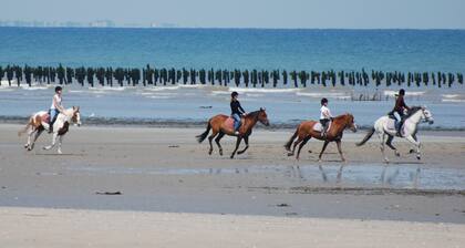 Normandie, Manche, Quinéville, Strand 50 m, Ste Mère Eglise, Landungsstrand
