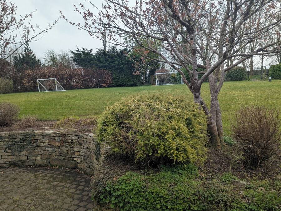 Een grasveld met een stenen muur en een boom.