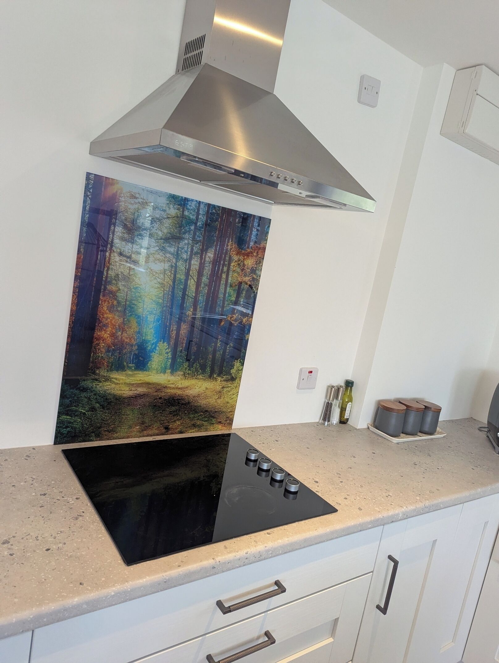 Uma cozinha com coifa de aço inoxidável, fogão por indução preto e um quadro pendurado na parede retratando uma cena de floresta.