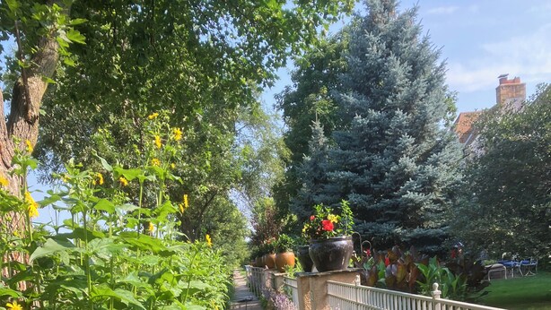 A garden pathway with a metal fence, potted plants, and a variety of flowers. - The Cottage an urban retreat. (Minneapolis)
