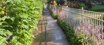 The Cottage an urban retreat.