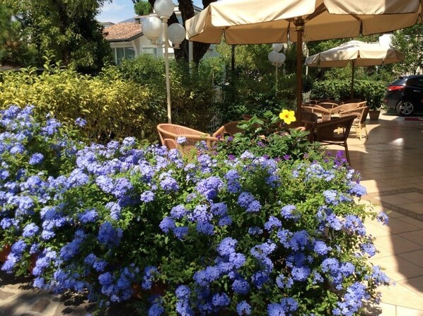 Terassi/patio