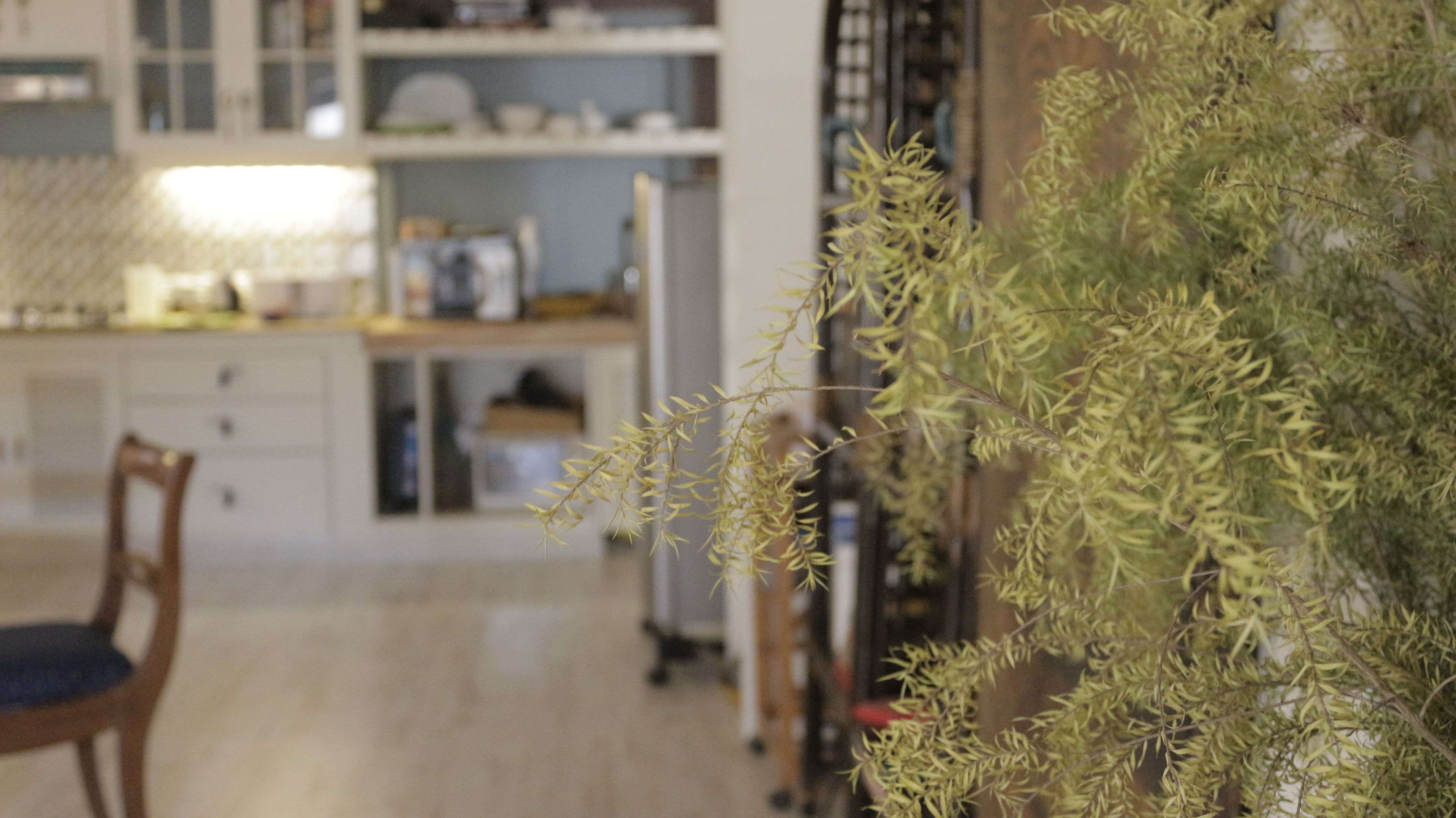 Foto - 5/4 - Calcutta's freshest BnB