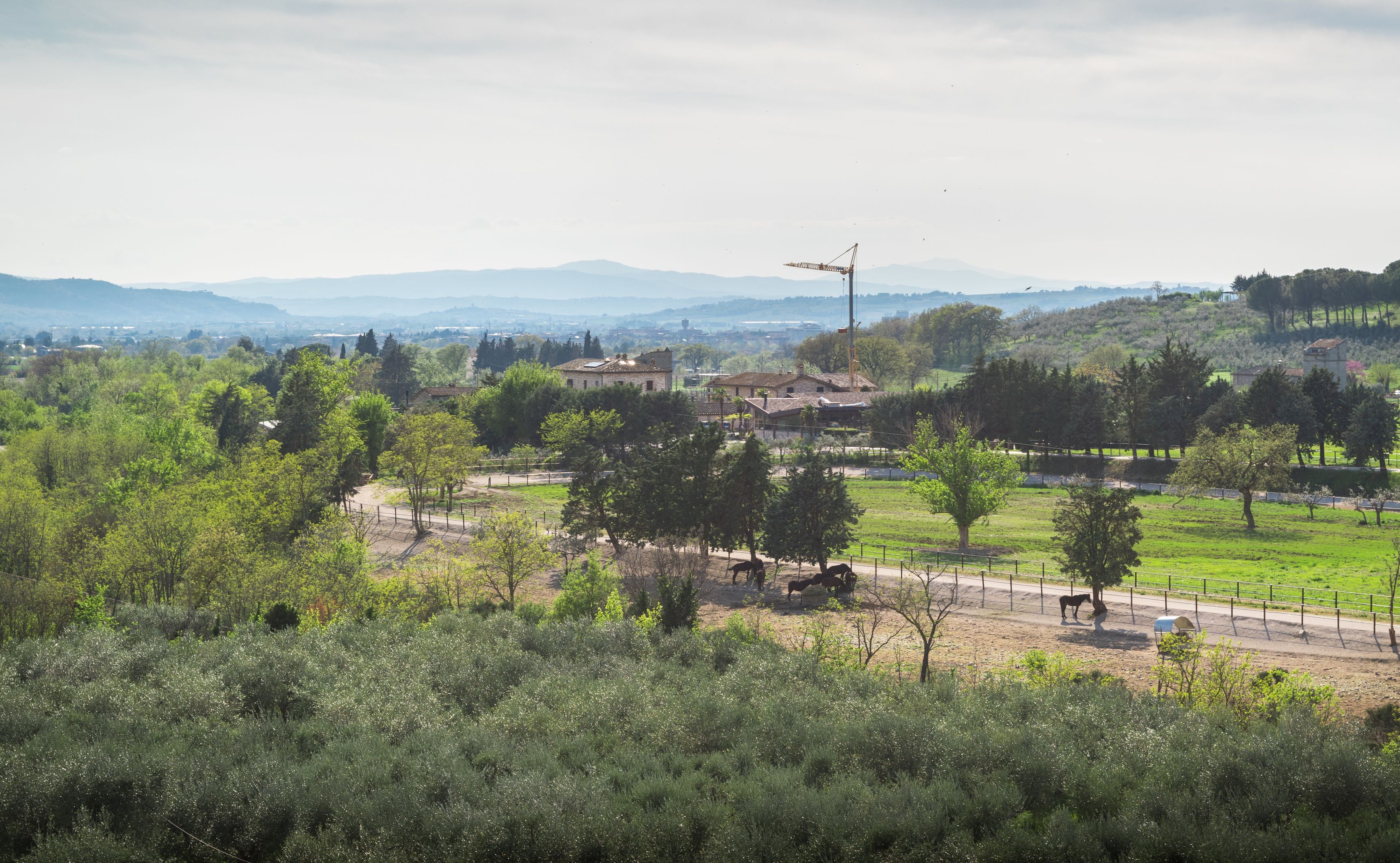 A rural landscape with a clear view of a small village, a few buildings, and a distant mountain range.