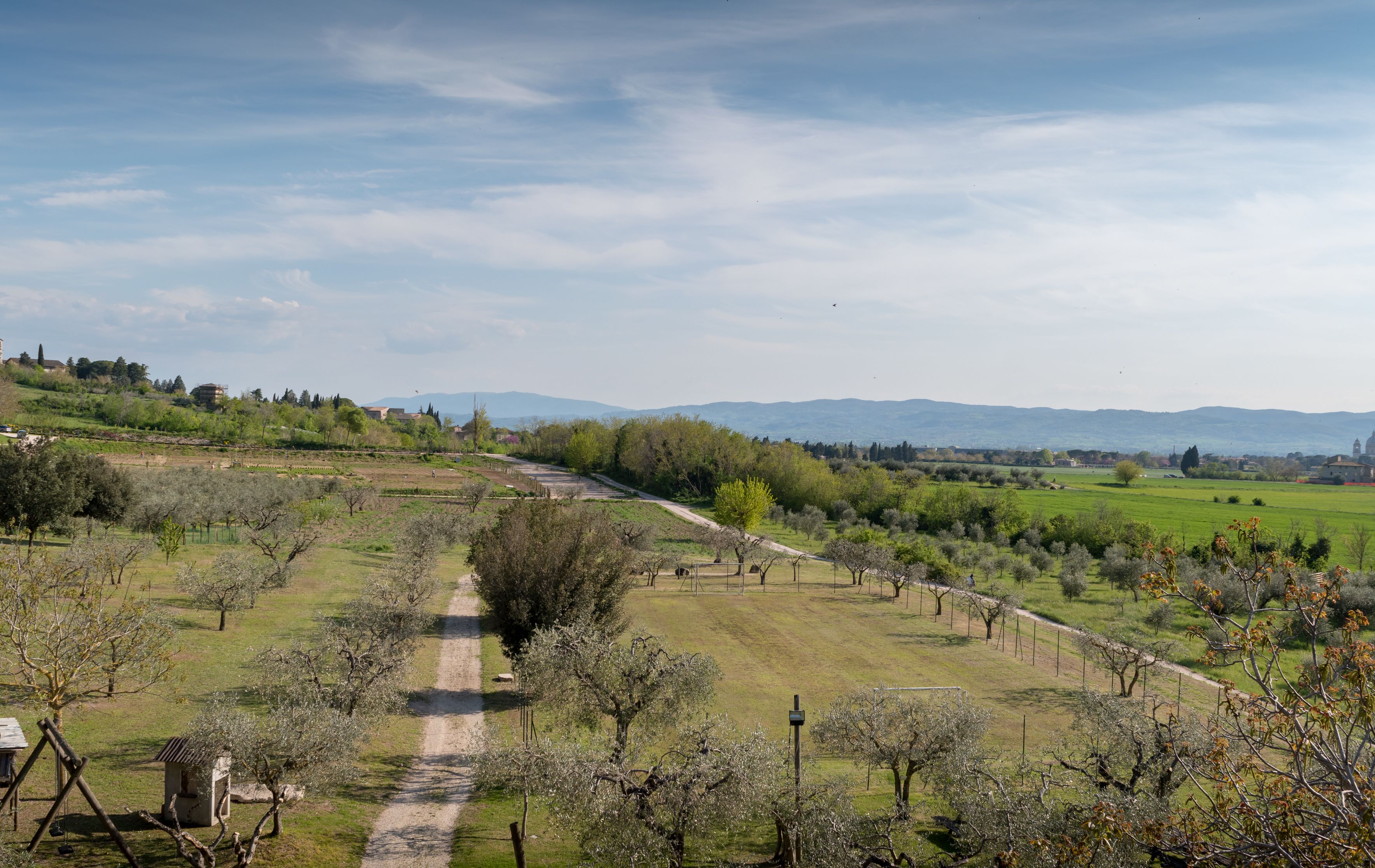 Un paisaje rural con un camino de tierra que atraviesa un campo de árboles, con colinas y edificios a la distancia.