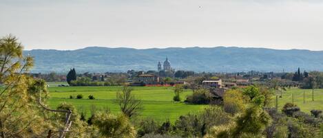 Paisaje rural con una iglesia destacada y campos circundantes.