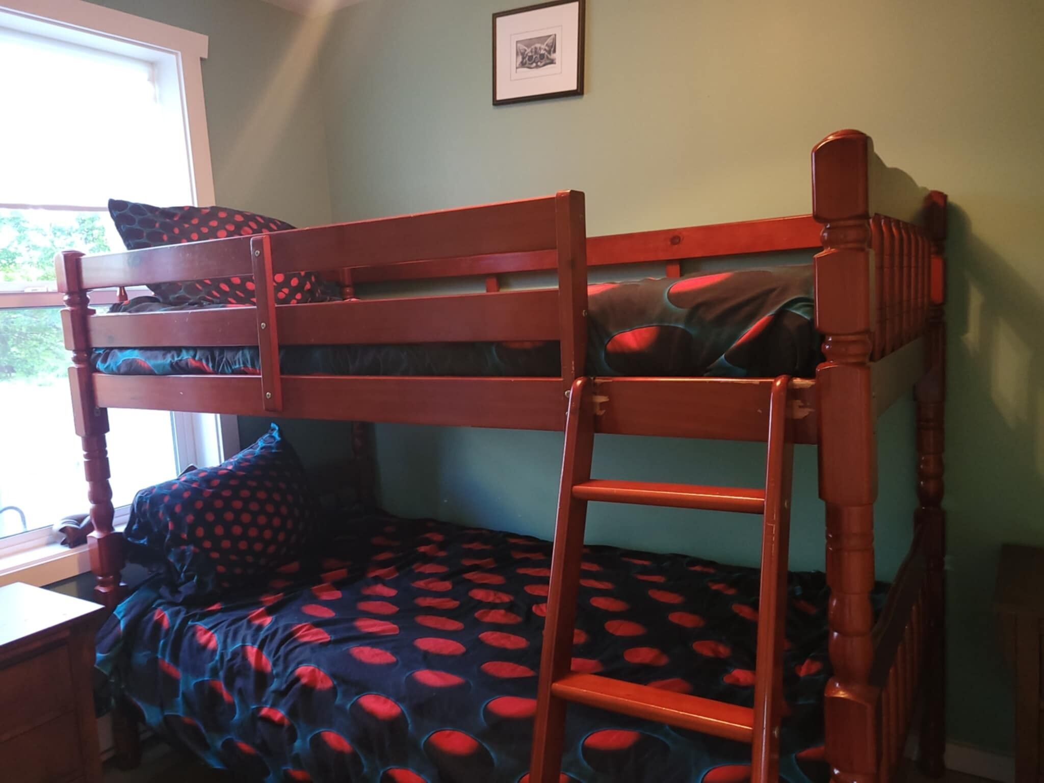 A bunk bed with a ladder, a desk, and a window with a view of greenery.