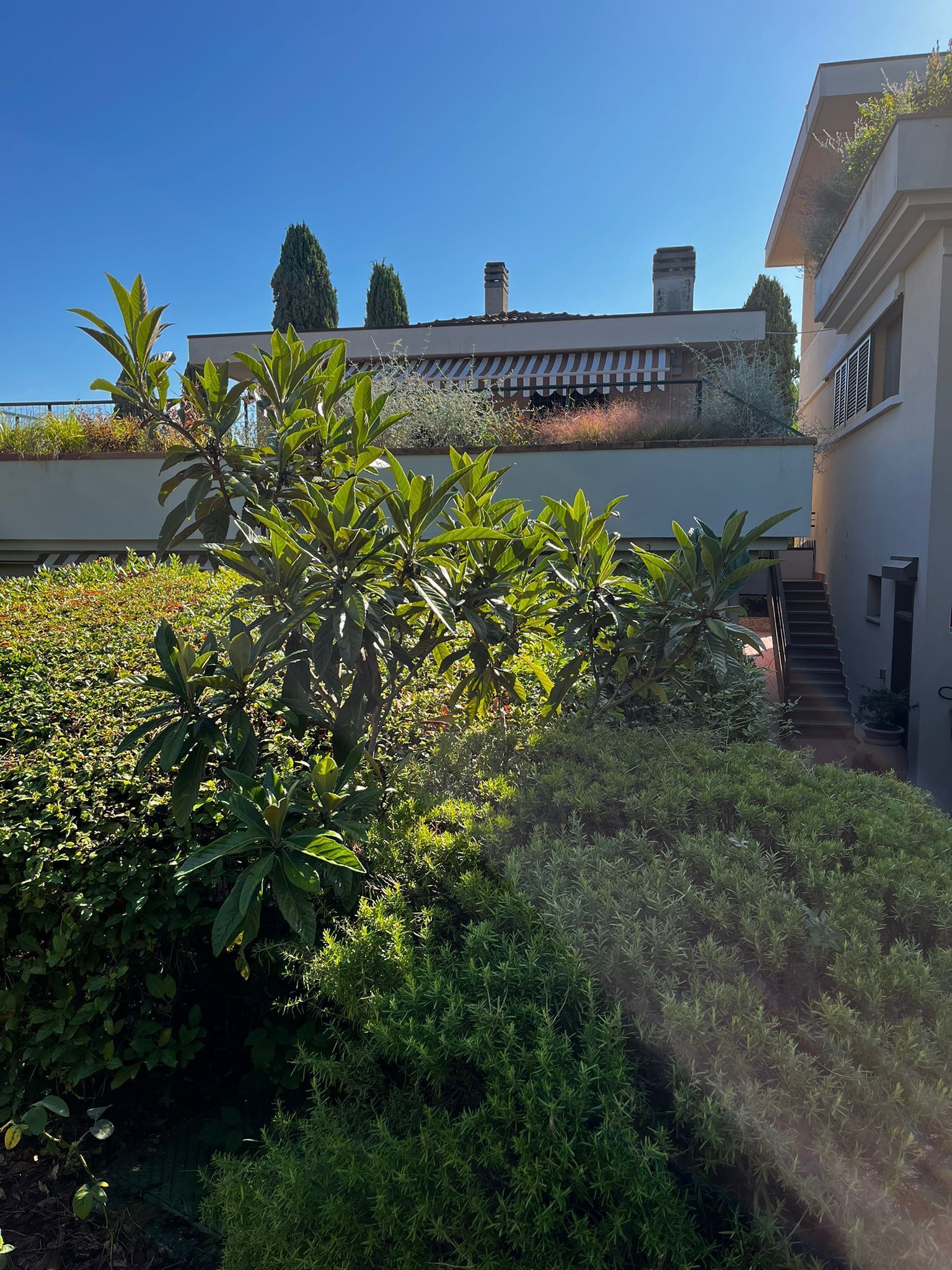 A modern building with a flat roof, a staircase leading to an upper level, and a variety of greenery including shrubs and a tree.