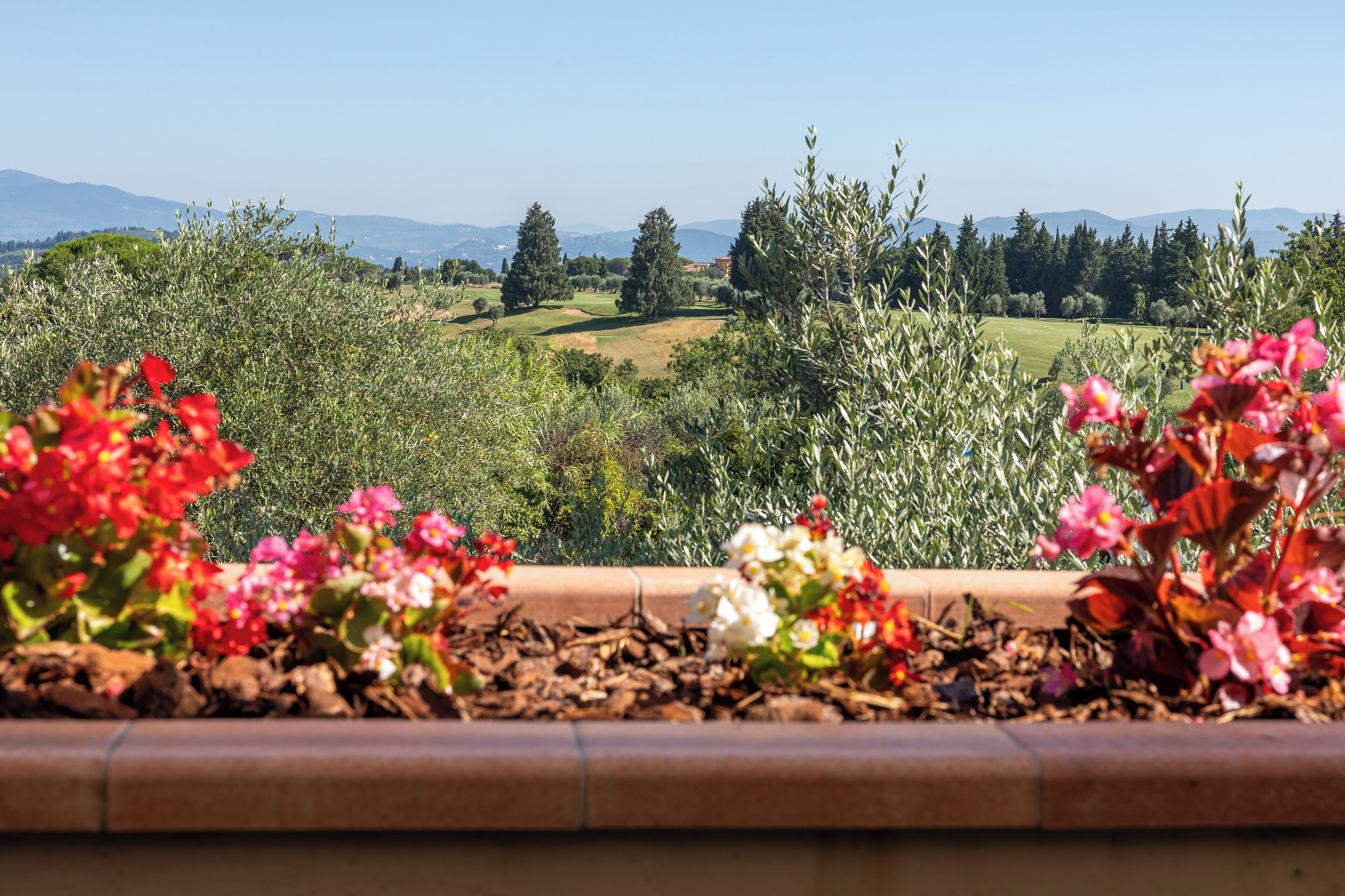 A garden with various plants and flowers, a wooden bench, and a view of a green landscape with trees and hills in the background.