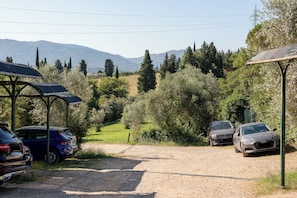 Free self parking
