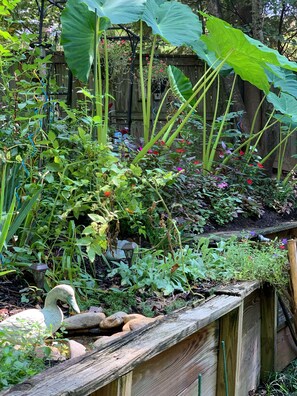 A garden with various plants and a wooden fence.