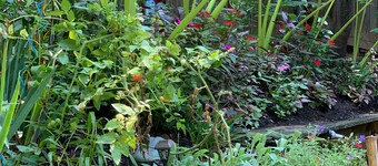 Executive home minutes to downtown Greenville, GHS, Swamp Rabbit Trail Sleeps 10