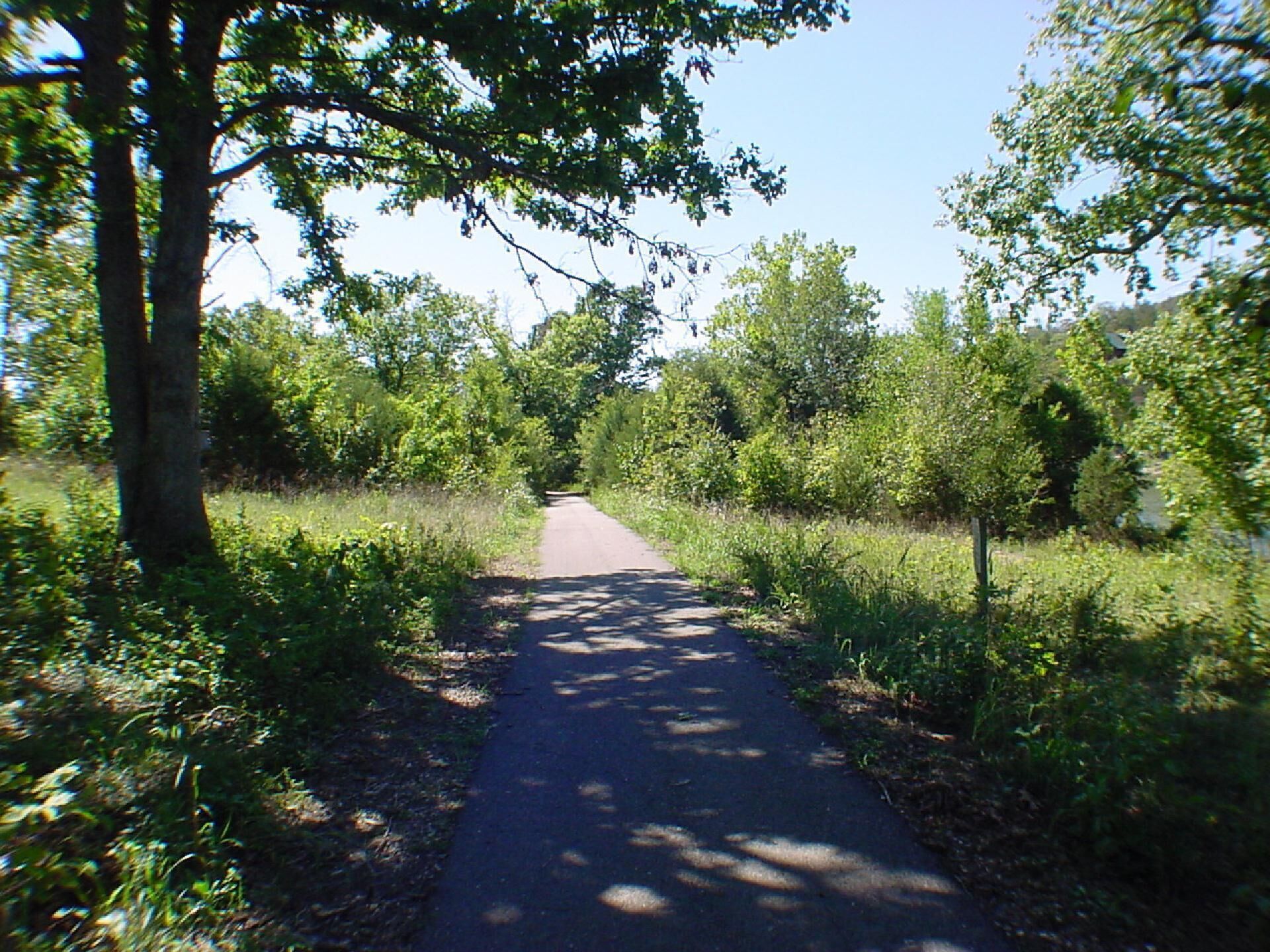 A paved path surrounded by greenery and trees.