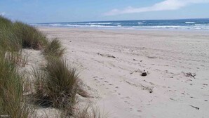 Une plage de sable avec des dunes et, au loin, les vagues de l’océan.