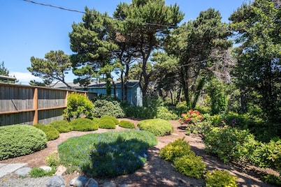 Ocean Front! Hot Tub! Dog Friendly!