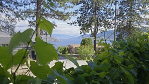 A residential area with houses, a driveway, and a view of mountains and a body of water.