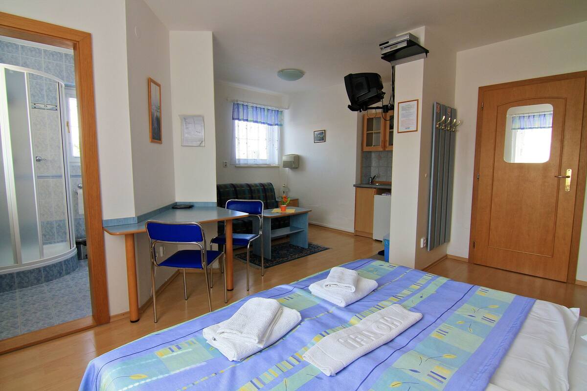 A hotel room with a bed, a desk, a chair, a small kitchenette, and a shower area.