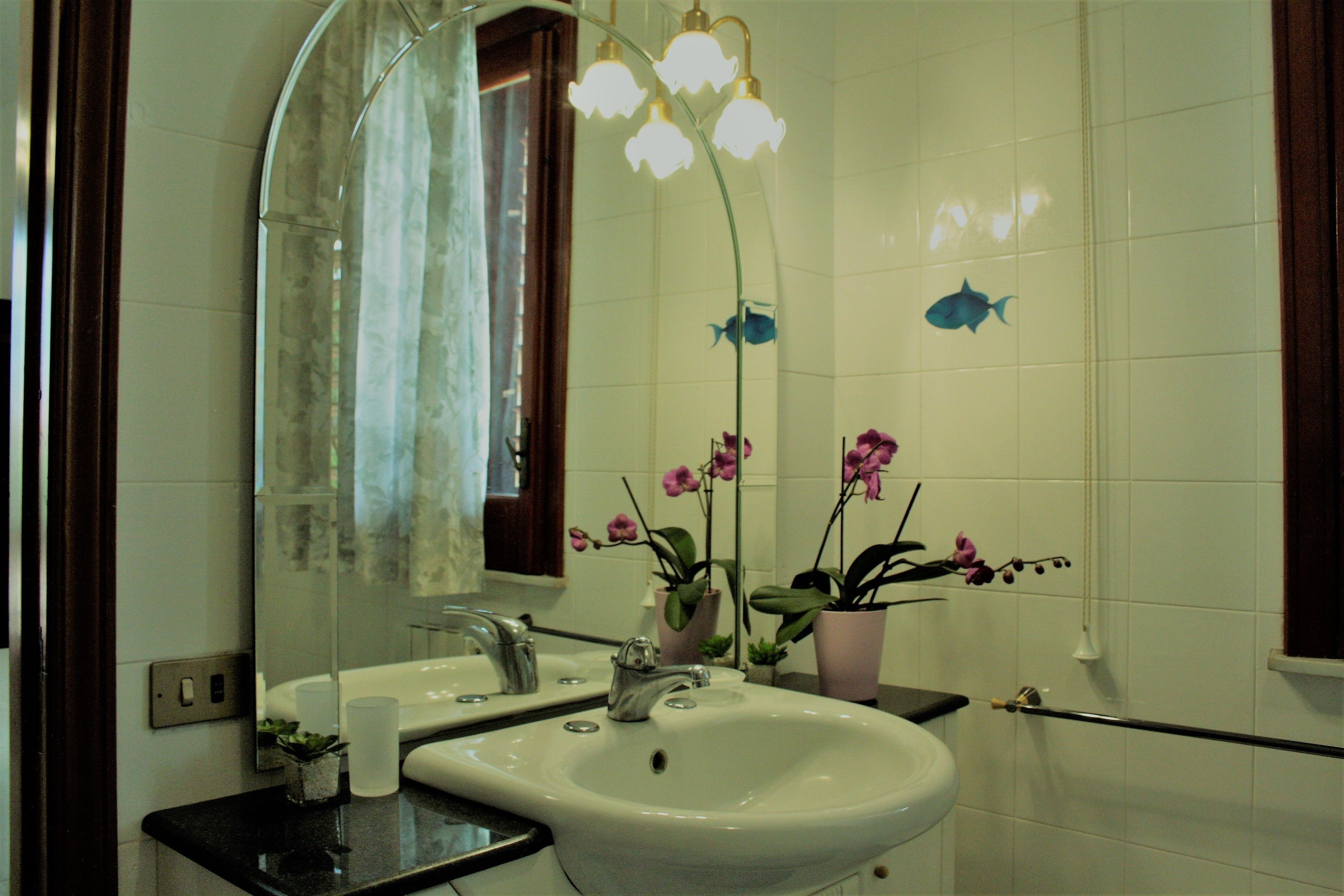 Foto - Oasi Del Gabbiano