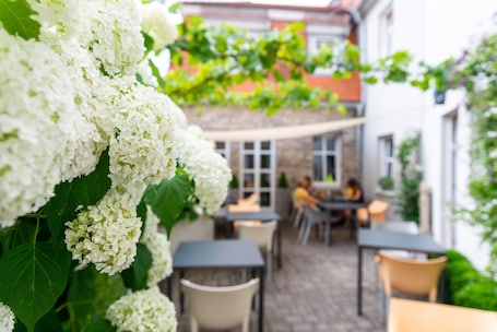 Courtyard. Hotel Am Torturm