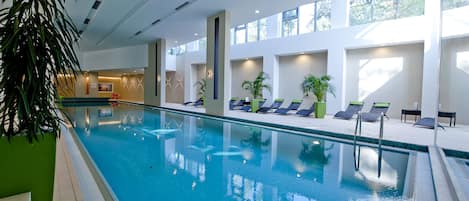 Una amplia piscina cubierta con agua cristalina, rodeada de sillones de descanso y plantas en macetas.