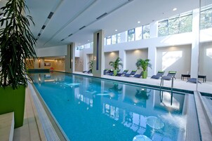 Una amplia piscina cubierta con agua cristalina, rodeada de sillones de descanso y plantas en macetas.