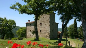 Ein steinerner Turm mit kleinem Fenster und einem roten Ziegeldach, umgeben von üppiger Vegetation und blühenden Pflanzen.
