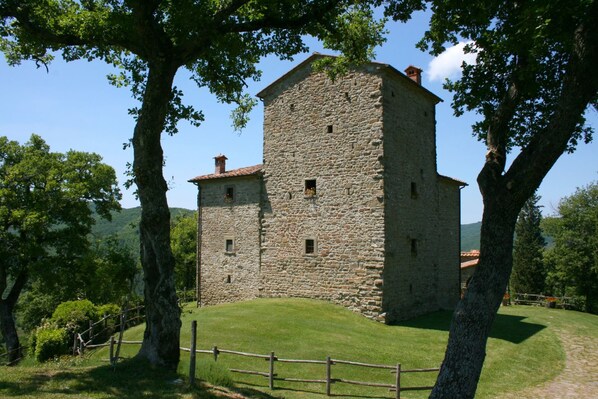 Eksteriør