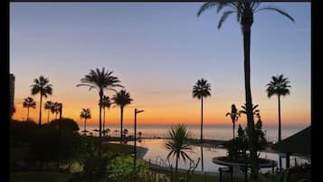 Zonsondergang met palmbomen en een rustige zee.