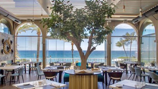Un restaurante con un gran árbol en el centro, mesas y sillas dispuestas alrededor, y vistas al océano a través de amplias ventanas.