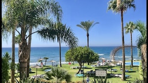 Un resort frente a la playa con palmeras, sillas de descanso y una vista despejada del océano.