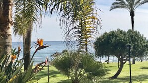 Un jardín costero con palmeras, una flor del paraíso y vista al mar.