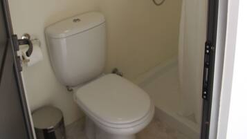 A small, enclosed bathroom with a toilet, a shower, and a toilet paper holder.