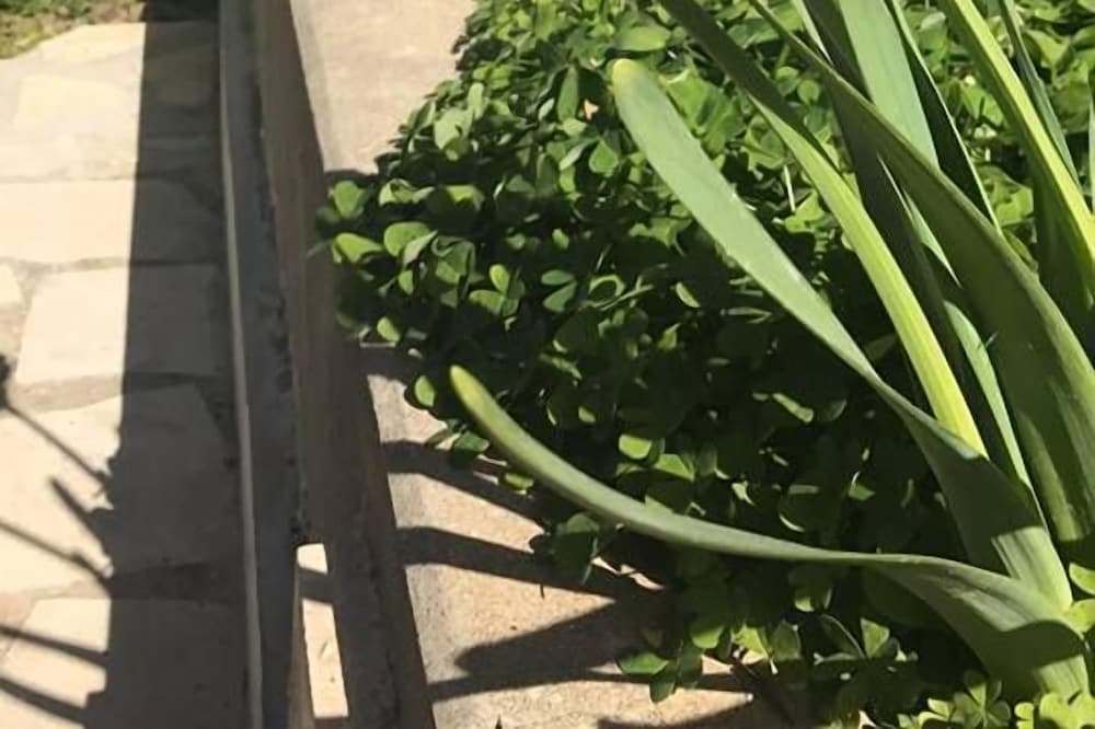 Marmaras