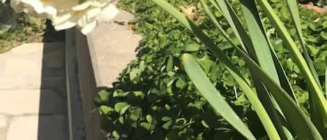 숙박 시설 구내