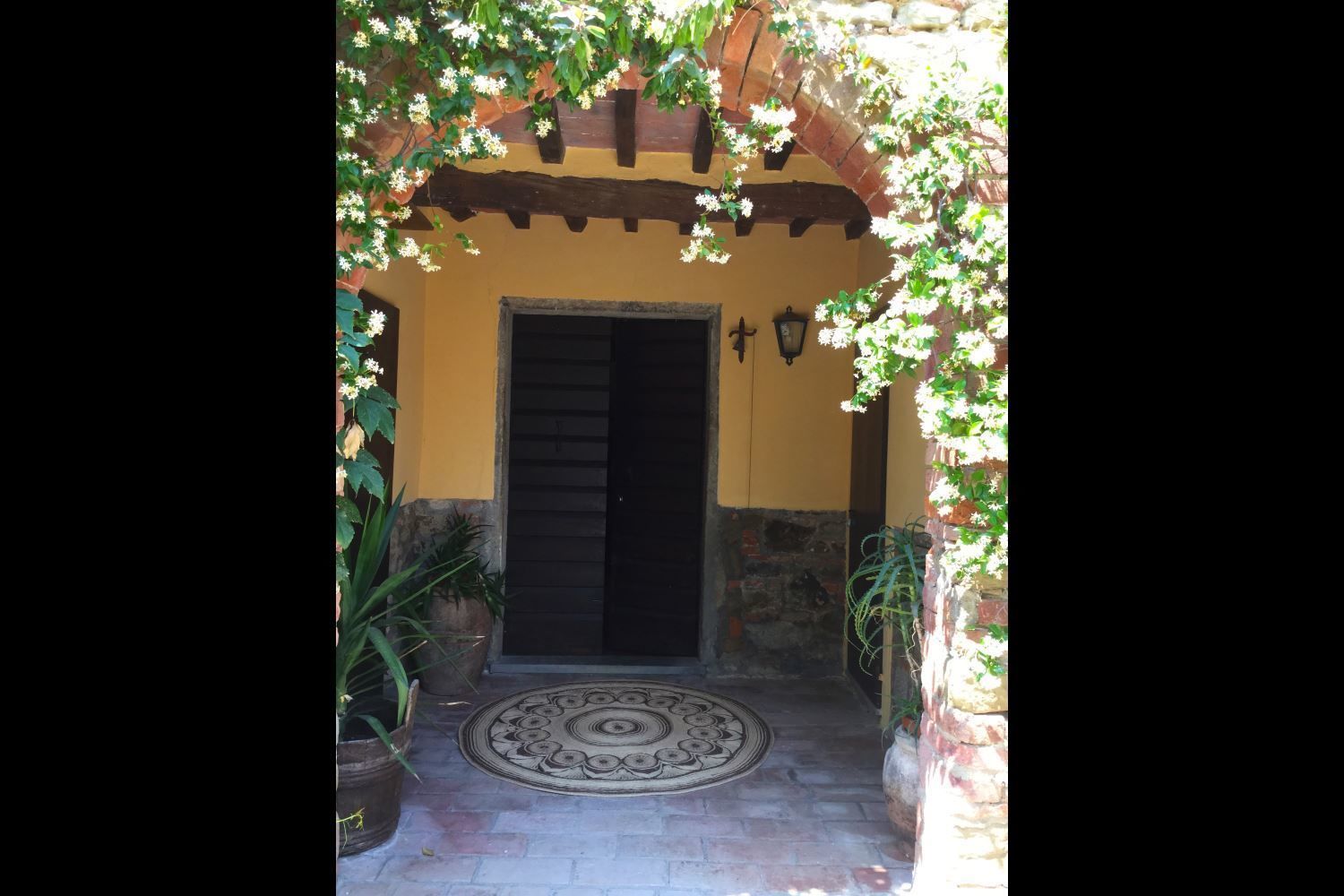 A doorway with a black door, a round doormat, and potted plants on either side.