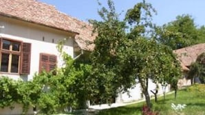 A house with a tiled roof, a garden with various plants, and a pathway leading to the entrance. - Casa Arthur (Biertan)