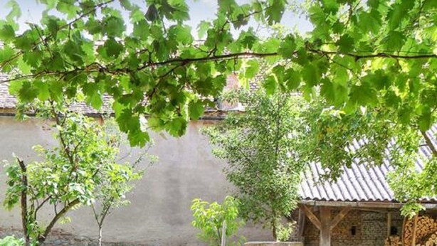 An outdoor seating area with a wooden table and benches, surrounded by greenery and a rustic stone wall. - Casa Arthur (Biertan)