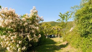 Un sendero que lleva a un edificio con jardín.